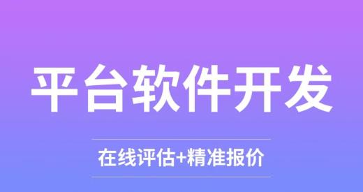 軟件定制開發(fā)項目分析